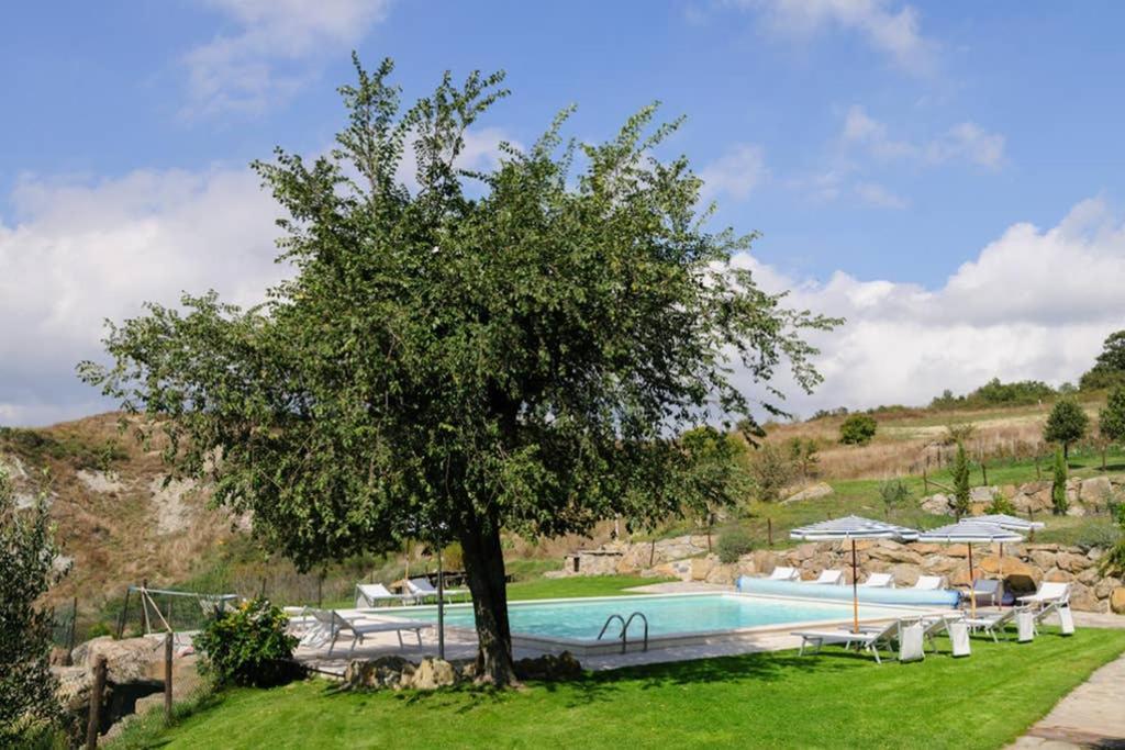 Girasole Cottage Overlooking The Orcia Valley In Tuscany Radicofani Exteriér fotografie